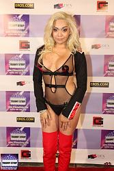 Click image for larger version. 

Name:	Tranny Awards Party 267.JPG 
Views:	7366 
Size:	128.1 KB 
ID:	456530