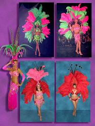 Click image for larger version. 

Name:	Showgirls-CmpA.jpg 
Views:	3799 
Size:	89.5 KB 
ID:	633005