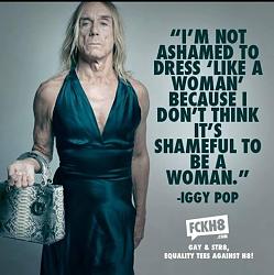 Click image for larger version. 

Name:	iggy-pop-dress-129893531214.jpeg 
Views:	503 
Size:	58.6 KB 
ID:	789807