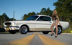 Click image for larger version. 

Name:	1 1966 Shelby GT350H.jpg 
Views:	98 
Size:	597.2 KB 
ID:	897398