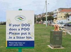 Click image for larger version. 

Name:	dogpoo.jpg 
Views:	185 
Size:	50.9 KB 
ID:	947098