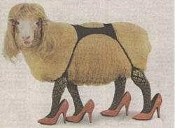 Click image for larger version. 

Name:	sexy sheep.jpg 
Views:	862 
Size:	38.8 KB 
ID:	599914