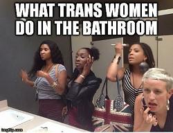 Click image for larger version. 

Name:	Trans women bathroom.jpg 
Views:	39 
Size:	40.1 KB 
ID:	1019543
