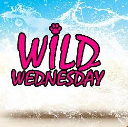 Click image for larger version. 

Name:	Wild Wednesday.JPG 
Views:	70 
Size:	53.6 KB 
ID:	1220450
