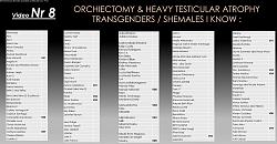 Click image for larger version. 

Name:	Orchiectomy Shemales List.JPG 
Views:	1548 
Size:	260.7 KB 
ID:	1306786