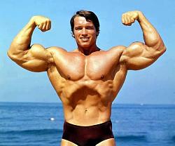 Click image for larger version. 

Name:	arnoldschwarzenegger.jpg 
Views:	29 
Size:	49.5 KB 
ID:	1348438