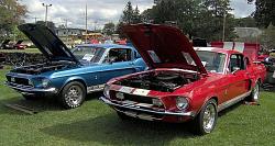 Click image for larger version. 

Name:	800px_1968_gt500_and_gt350_206.jpg 
Views:	176 
Size:	105.2 KB 
ID:	223316
