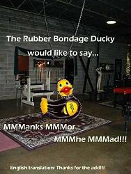 Click image for larger version. 

Name:	bondage-rubber-duckie-dungeon-sm.jpg 
Views:	2336 
Size:	39.2 KB 
ID:	325395