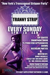 Click image for larger version. 

Name:	TrannyStrip Back GENERIC flyer.jpg 
Views:	2694 
Size:	536.1 KB 
ID:	428211