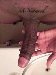 Click image for larger version. 

Name:	nutwood14.jpg 
Views:	29405 
Size:	110.3 KB 
ID:	449091