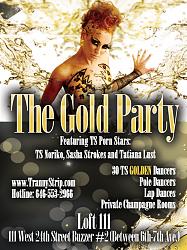Click image for larger version. 

Name:	Gold Party Back.jpg 
Views:	4209 
Size:	539.7 KB 
ID:	450663