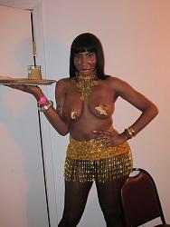 Click image for larger version. 

Name:	Tranny-Gold-Party-002.jpg 
Views:	571 
Size:	151.3 KB 
ID:	462501