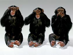 Click image for larger version. 

Name:	wildlife-monkeys-hear-no-evil-see-no-evil-speak-no-evil.jpg 
Views:	3398 
Size:	74.2 KB 
ID:	501976