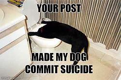 Click image for larger version. 

Name:	suicidedog_136.jpeg 
Views:	6813 
Size:	25.8 KB 
ID:	65405