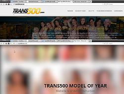 Click image for larger version. 

Name:	trans500vote-00.jpg 
Views:	60 
Size:	516.5 KB 
ID:	911882